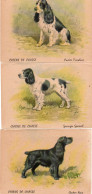 4V5Hy   Chasse Chiens Cocker Springer Grandes Images (13cm X 9.3cm) Lot De 3 - Hunde