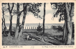 17-ILE DE RE-N°439-A/0167 - Ile De Ré