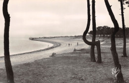 17-ILE D OLERON-N°439-A/0065 - Ile D'Oléron