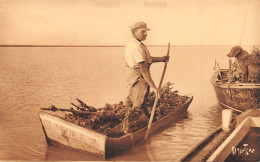 17-SCENE DE CHARENTE MARITIME-LA MYTILICULTURE-N°439-B/0289 - Sonstige & Ohne Zuordnung