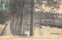 21-CHATILLON SUR SEINE-N°439-F/0327 - Chatillon Sur Seine