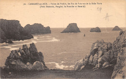 29-CAMARET SUR MER-N°441-B/0229 - Camaret-sur-Mer