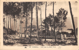 29-TREBOUL-N°441-E/0355 - Tréboul