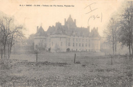 36-CLION-CHÂTEAU DE L ILE SAVARY-N°442-H/0093 - Autres & Non Classés