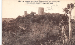 36-CHATEAUBRUN-LE CHÂTEAU-N°442-H/0077 - Autres & Non Classés