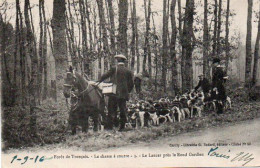 4V5Hy   Chasse à Courre Forêt De Tronçais Le Lancer Prés Le Rond Gardien - Jagd