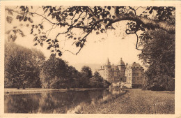 38-VIZILLE-LE CHÂTEAU-N°443-B/0237 - Vizille