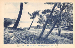 40-CAPBRETON-N°443-D/0115 - Capbreton