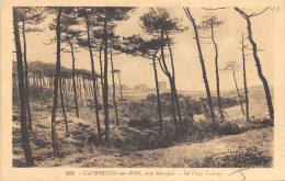 40-CAPBRETON-N°443-D/0125 - Capbreton