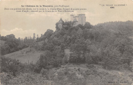 43-PAULHAGUET-CHÂTEAU DE LA TOURETTE-N°443-H/0265 - Sonstige & Ohne Zuordnung