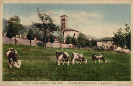 VICO CANAVESE, Torino - Chiesa E Pascolo - Bovini - VG - #057 - Sonstige & Ohne Zuordnung