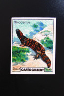 Chromo "Cafés GILBERT" - Série 20 "LES REPTILES" - Tea & Coffee Manufacturers