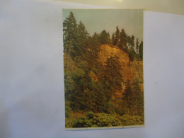 UNITED STATES    POSTCARDS  1970 FOREST - Other & Unclassified
