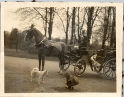 Photographie Photo Vintage Snapshot Anonyme Calèche Fiacre Cocher Chien Enfant - Treinen