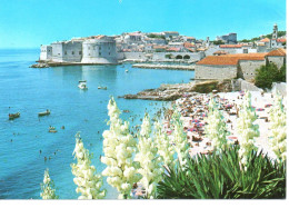 YOUGOSLAVIE : DUBROVNIK - Yugoslavia