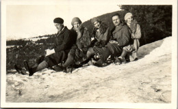 Photographie Photo Vintage Snapshot Anonyme Groupe Chien Mode Neige Hiver Luge - Other & Unclassified