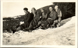 Photographie Photo Vintage Snapshot Anonyme Groupe Chien Mode Neige Hiver Luge - Autres & Non Classés