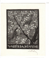 Ex Libris. 105mmx130mm. - Bookplates