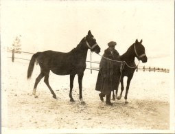 Photographie Photo Vintage Snapshot Anonyme Homme Cheval Hippisme  - Other & Unclassified