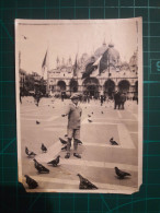 PHOTOGRAPHIE ANCIENNE ORIGINALE. Garçon Avec Béret Et Cravate Nourrissant Des Pigeons Sur La Place De La Ville. Image En - Personnes Anonymes