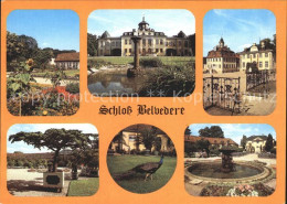 71957310 Weimar Thueringen Schloss Belvedere Pfau Weimar - Weimar