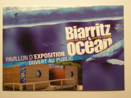 ANIMAUX MARINS - SURF SUR OCEAN / Surfeur - Carte Publicitaire Exposition Biarritz & Océan - Vissen & Schaaldieren