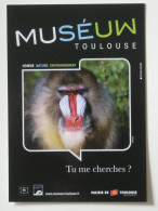 SINGE - Tête De Singe , Mandrill ? - Carte Publicitaire Muséum Toulouse - Monkeys