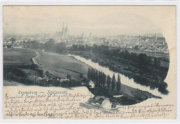 39032031 - Totalansicht Von Regensburg Gelaufen 1901. Gute Erhaltung. - Regensburg