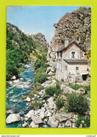 48 LE MALZIEU Vers Saint Chély D'Apcher La Truyère Ses Gorges En Aval Du Malzieu VOIR DOS - Saint Chely D'Apcher