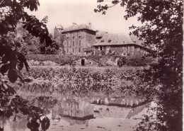Cpsm Naucelle Chateau Du Bosc - Altri & Non Classificati