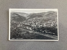 Liban Vue De Sahle Carte Postale Postcard - Lebanon