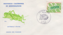 Enveloppe  FDC  1er   Jour   NOUVELLE  CALEDONIE    Insecte :  Sauterelle  Géante   1977 - Other & Unclassified