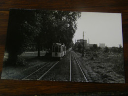 Photographie - Meinau (67) - Tramway  - Route De Colmar - 1955 - SUP (HY 7) - Other & Unclassified
