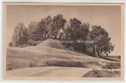 Piliakalnis Džiugas, Telšiai, Apie 1940 M. Atvirukas - Lituania