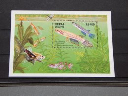 Sierra Leone - 1991 Fishes Block (1) MNH__(TH-15303) - Sierra Leone (1961-...)