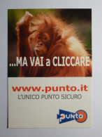 SINGE - TETE  / BRAS - Carte Publicitaire Italienne PUNTO - Monkeys