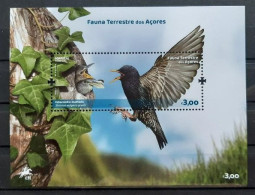 PORTUGAL 2023 FAUNA Terrestrial Animals Of The AZORES - Fine S/S MNH - Azores
