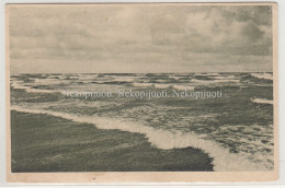 Palanga, Jūra, Apie 1930 M. Atvirukas - Litauen