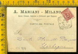 Milano Città  A Mariani - Milano - Semi Oleosi, Salumi E Articoli Per Saponi - Via Garibaldi 6, Via Orefici  - Milano (Milan)