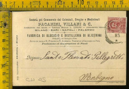 Milano  Paganini Villani & C. - Società Pel Commercio Dei Coloniali , Droghe E Medicinali - Milano (Milan)