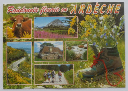VACHE / Randonnée Fleurie En ARDECHE - Chaussure / Randonneurs - Vaches