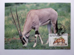 GAZELLE , Gros Plan ( Oryx Gazella Beisa ) - Carte Philatélique WWF Avec Timbre Eritrea Et Cachet 1er Jour 1996 - Andere & Zonder Classificatie