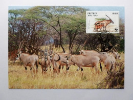 GAZELLE , Troupeau ( Oryx Gazella Beisa ) - Carte Philatélique WWF Avec Timbre Eritrea Et Cachet 1er Jour 1996 - Andere & Zonder Classificatie