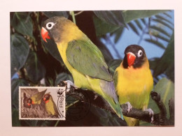 OISEAU / PERRUCHE A JOUES NOIRES - 2 Oiseaux Sur 1 Branche -Carte Philatélique WWF Avec Timbre Et Cachet 1er Jour Zambia - Oiseaux