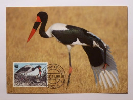 OISEAU / JABIRU DU SENEGAL - Espèce ECHASSIER - Carte Philatélique WWF Avec Timbre Et Cachet 1er Jour Zambia - Oiseaux