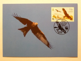 OISEAU / RAPACE - MILAN ROYAL Dans Le Ciel - Carte Philatélique WWF Avec Timbre Et Cachet 1er Jour Gibraltar - Uccelli