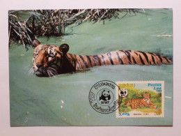 TIGRE Dans L'eau - Carte Philatélique WWF Avec Timbre Et Cachet 1er Jour Lao - Tiger