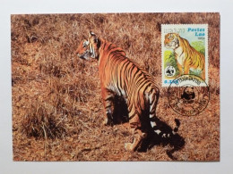 TIGRE Dans Un Champ - Carte Philatélique WWF Avec Timbre Et Cachet 1er Jour Lao - Tigri