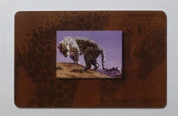 FAUNE / LEOPARD ARABE - Arabian Leopard - Carte Téléphone à Puce EMIRATS ARABES UNIS / Phonecard UAE - Selva