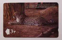 FAUNE / LEOPARD ARABE - Arabian Leopard - Carte Téléphone OMAN / Phonecard - Andere & Zonder Classificatie